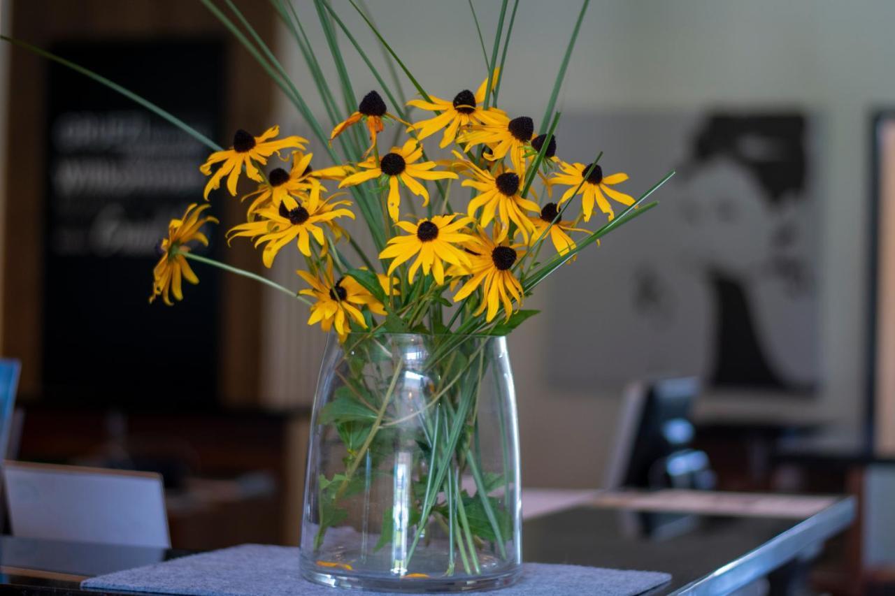Vitalhotel Quellengarten - Bed & Breakfast 링기나우 외부 사진